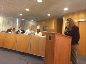 Carol Ryan speaks to County Legislators